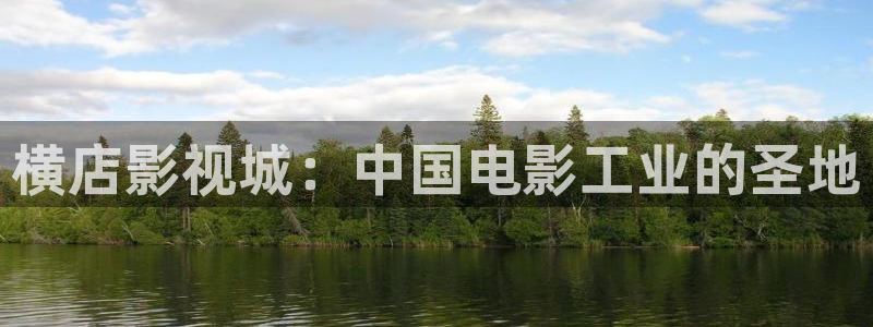 黑蚂蚁电视剧全集