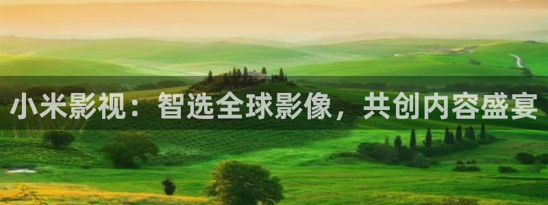 黑蚂蚁视频全集