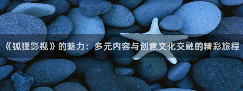 黑蚂蚁影院免费看电视剧：《狐狸影视》的魅力：多元内容与创意文化交融的精彩旅程