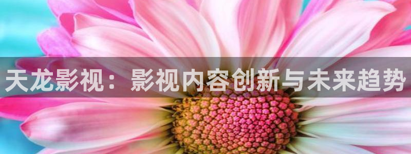黑蚂蚁电影在线观看：天龙影视：影视内容创新与未来趋势