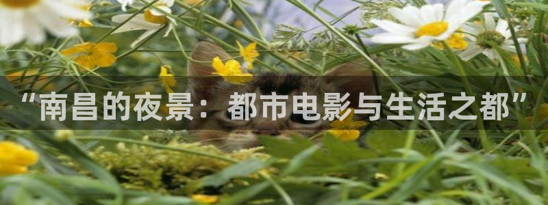 下载黑蚂蚁影院