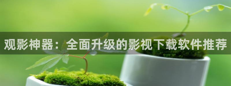 黑蚂蚁电视剧全集观看
