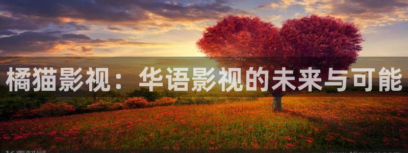 黑蚂蚁免费看