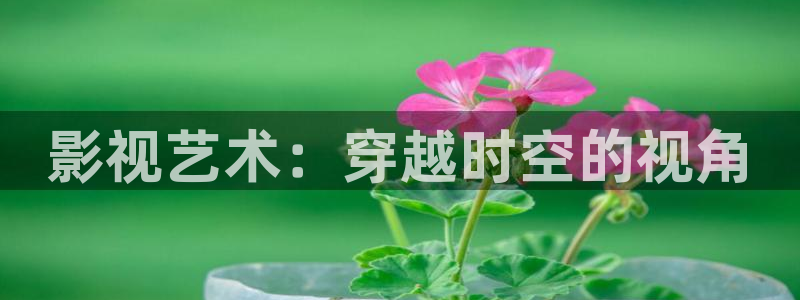 黑蚂蚁电视剧全集免费观看