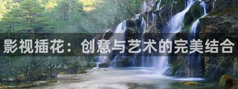 黑蚂蚁影视电视大全