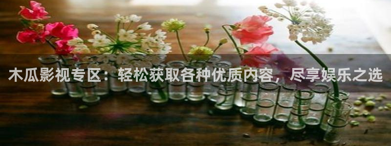 蚂蚁影视黑蚂蚁影视：木瓜影视专区：轻松获取各种优质内容，尽享娱乐之选