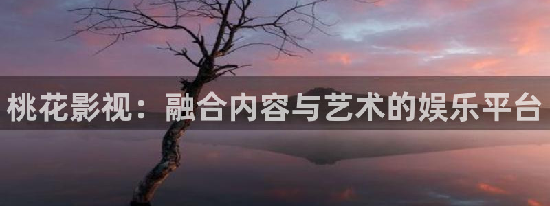 黑蚂蚁影视在线观看