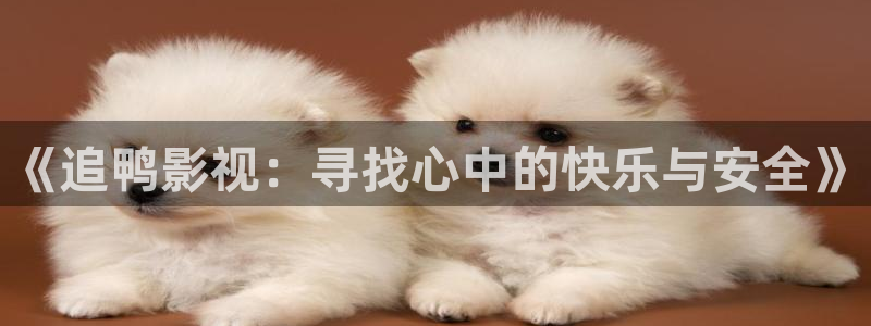 黑蚂蚁影院在线电视剧：《追鸭影视：寻找心中的快乐与安全》