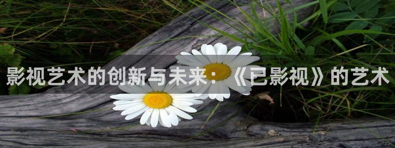 电视剧黑蚂蚁：影视艺术的创新与未来：《已影视》的艺术