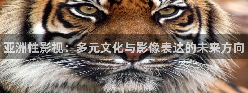 黑蚂蚁影院影视剧大全