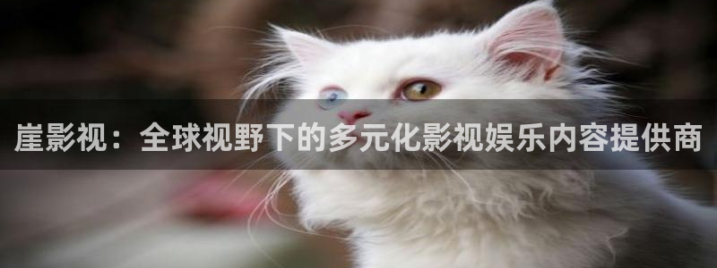 黑蚂蚁影视电视大全：崖影视：全球视野下的多元化影视娱乐内容提供商