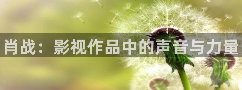 电视剧黑蚂蚁：肖战：影视作品中的声音与力量